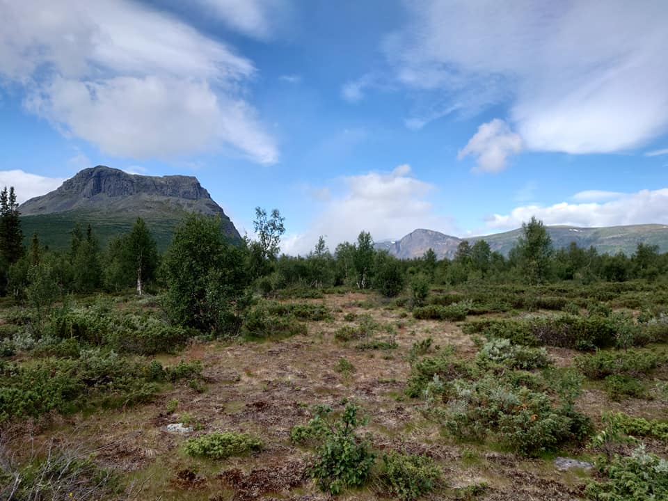 Image I took while hiking the kings trail